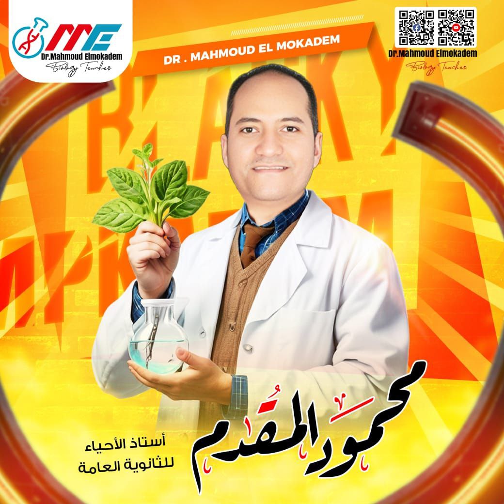 د. محمود المقدم